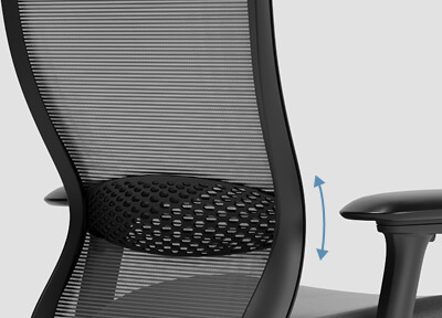 Adjustable Lumbar Support